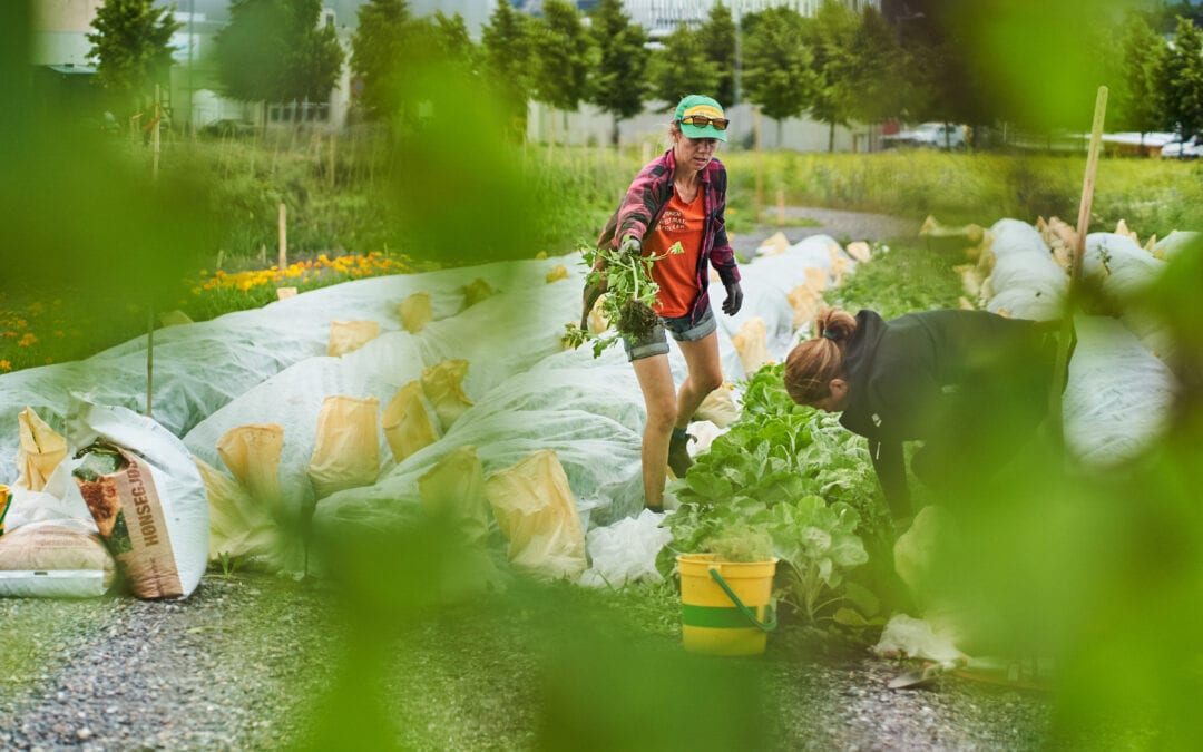Emisjon med Felleskjøpet