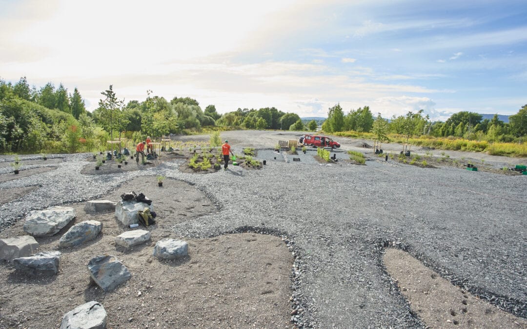 Ledig stilling: Prosjektleder utomhusanlegg