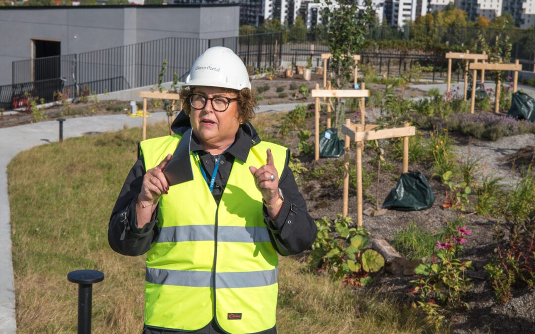 Urbant landbruk i vinden