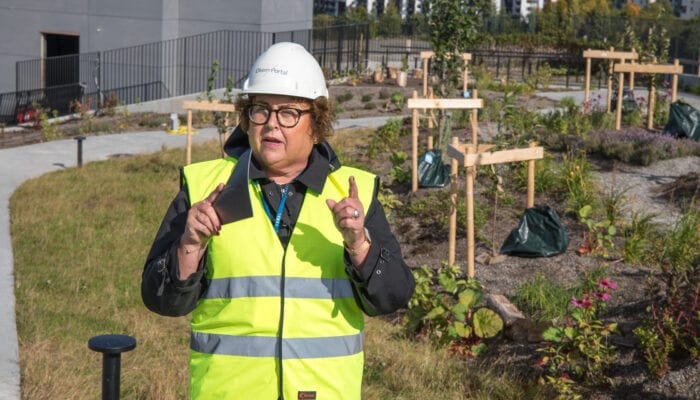 Urbant landbruk i vinden