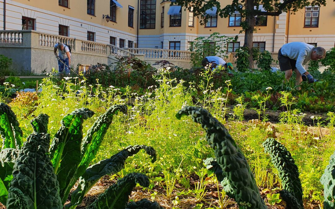 Frederik Stangs gate 11-13