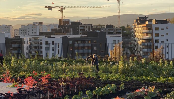 U.Reist nominert til Oslo miljøpris 2023