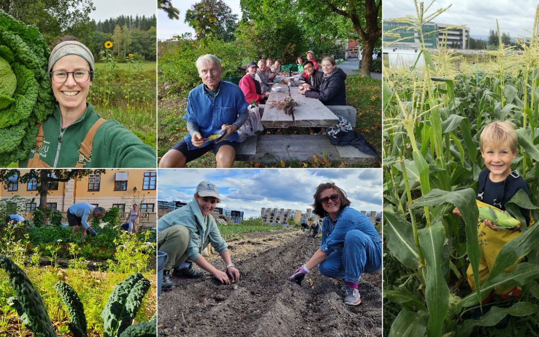 Samdyrkelagsåret 2022