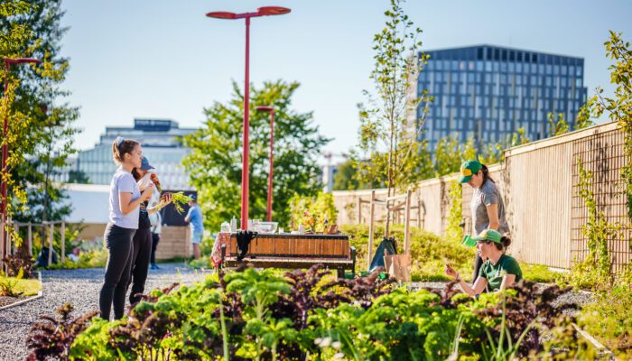 U.Reist nominert til Oslo miljøpris 2024