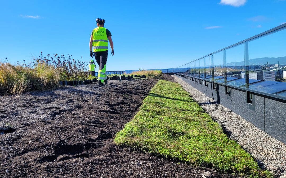 U.Reist bygger uteområdene til Construction City