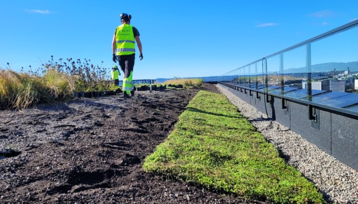 U.Reist bygger uteområdene til Construction City
