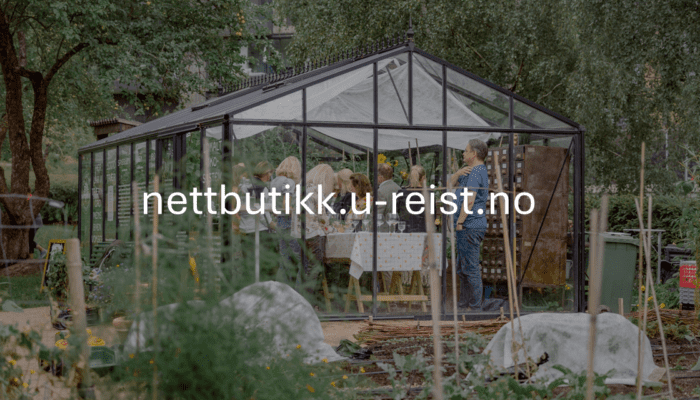Lansering av nettbutikk