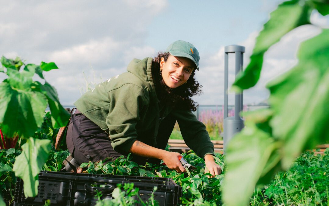 Våre beste hagetips for april