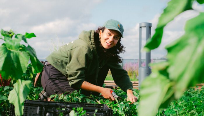 Våre beste hagetips for april